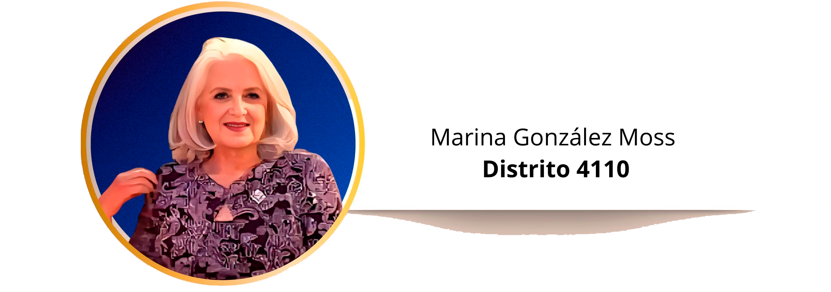 Gobernador Distrito 4110